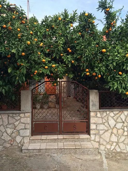 Ferienwohnung in Hvar  66126739 13232