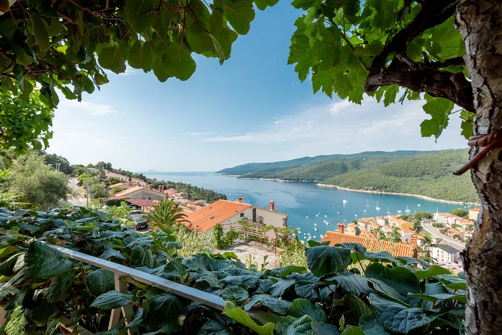 Ferienwohnung in Labin  6616493 1591