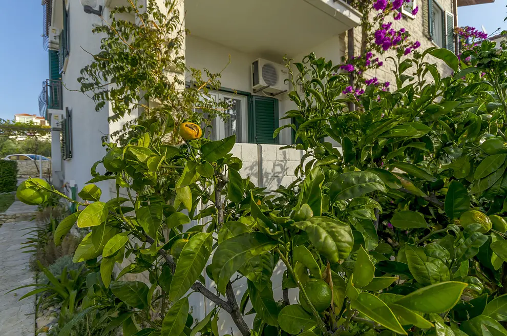 Ferienwohnung in Ciovo 6618823 2581 Ferienwohnung in Ciovo 6618823 2581