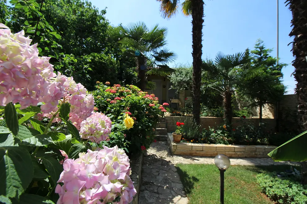 Ferienwohnung in Porec 66131499 16863 Ferienwohnung in Porec 66131499 16863